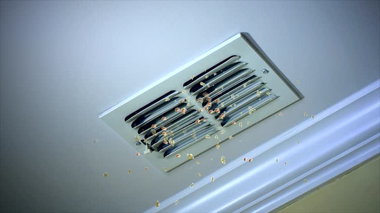 Best Local Air Duct Cleaning Services  in South Windham, CT