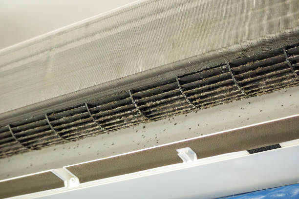 Best Local Air Duct Cleaning Services  in South Windham, CT